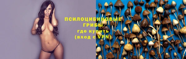 спайс Арсеньев