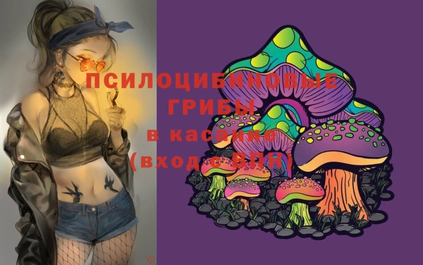 ALPHA PVP Аркадак