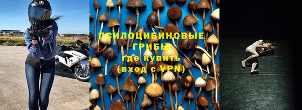 спайс Арсеньев