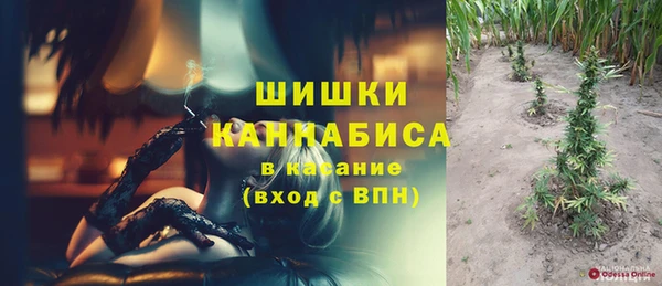 спайс Арсеньев