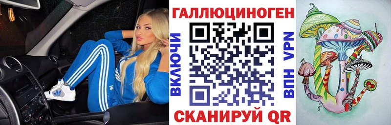 Псилоцибиновые грибы Cubensis  как найти   Тырныауз 